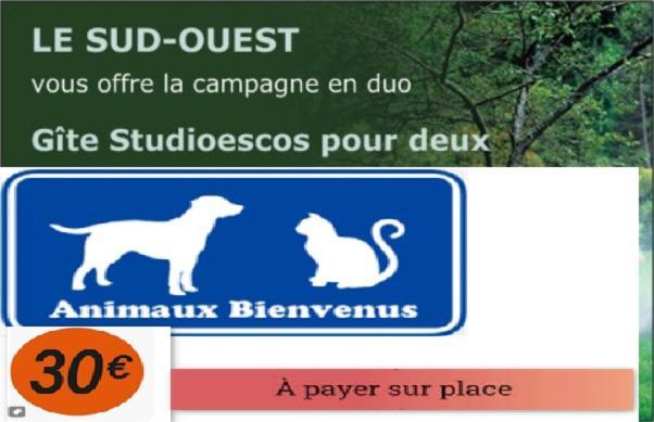 Gite Studioescos El Uno Eksteriør billede